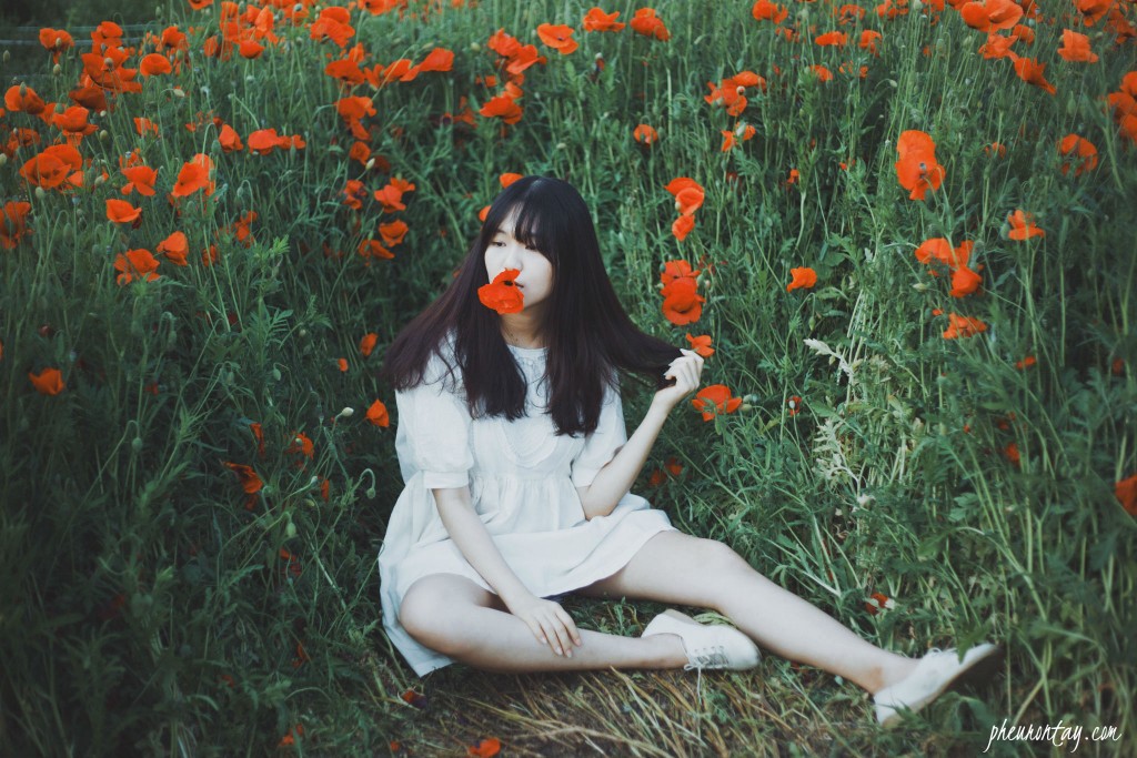 bucheon poppy e2