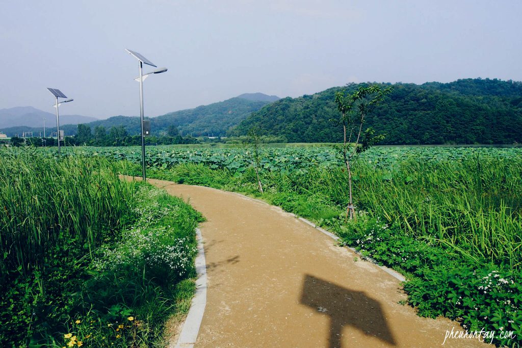 walk to dumulmeori 