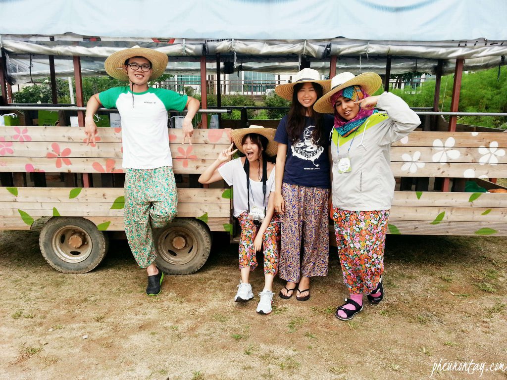 farm 3