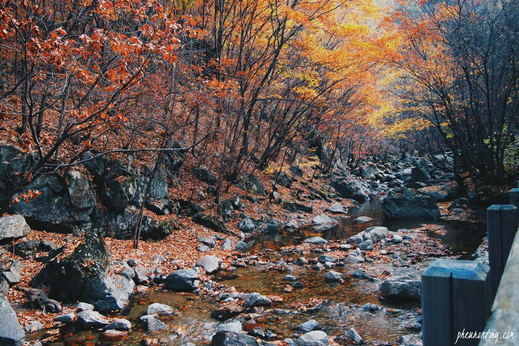 gapyeong, yoomyung mountain