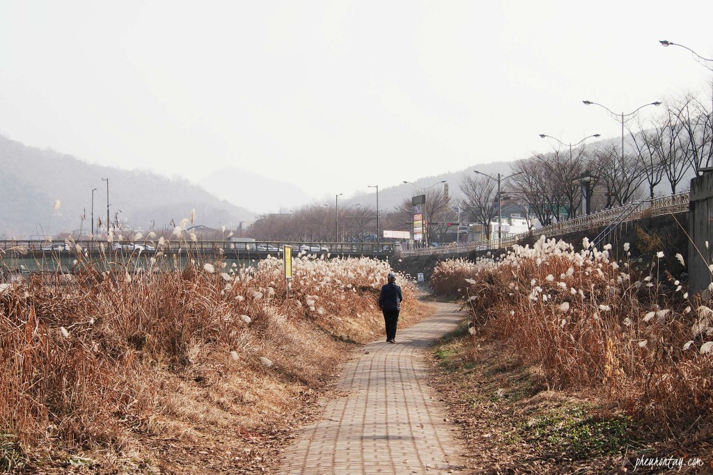 nambu market jeonju